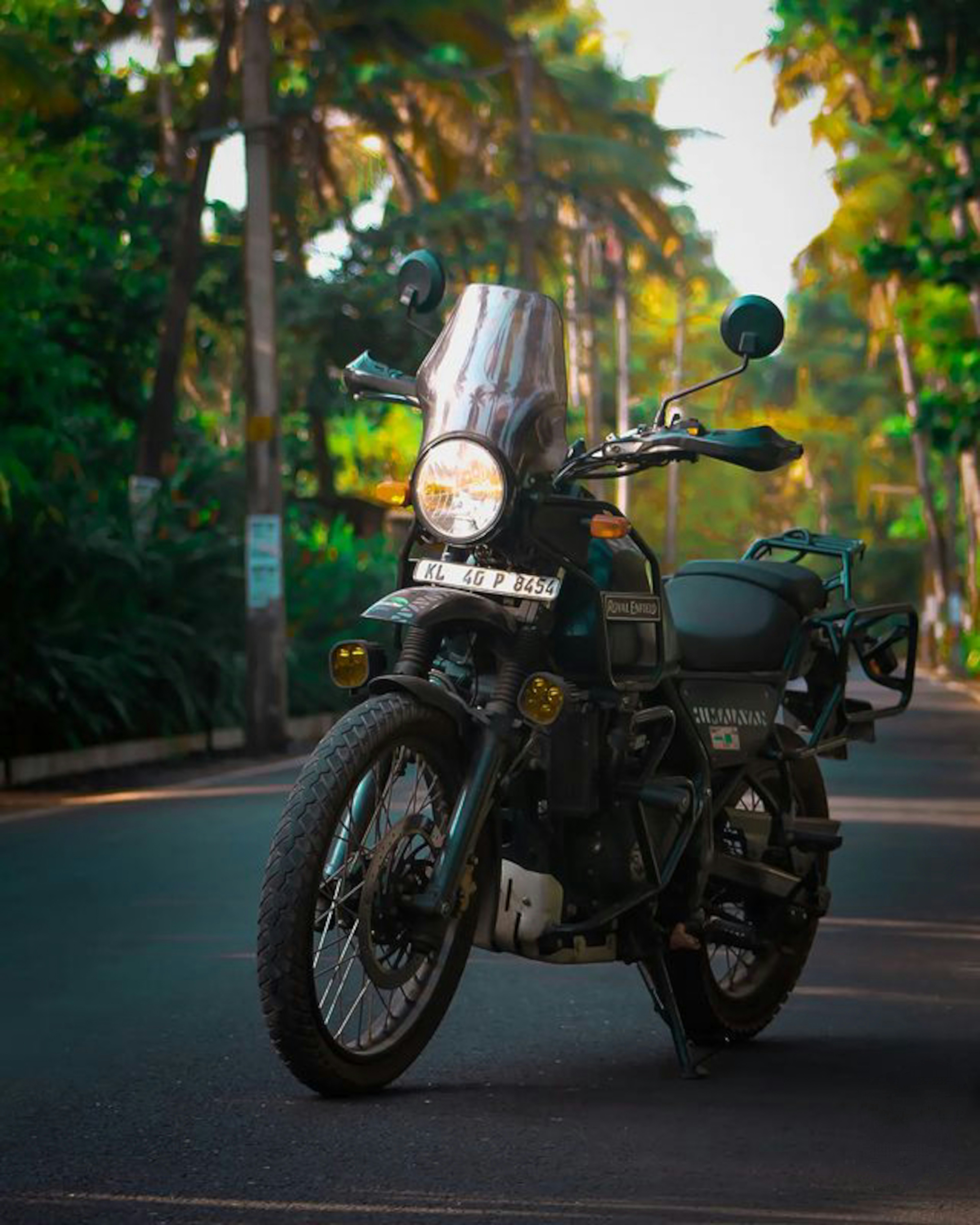 Himalayan 450